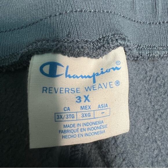 Champion Reverse Weave Color Block Sweat Shorts 3X Pink Green - LIKE NEW - Picture 4 of 6